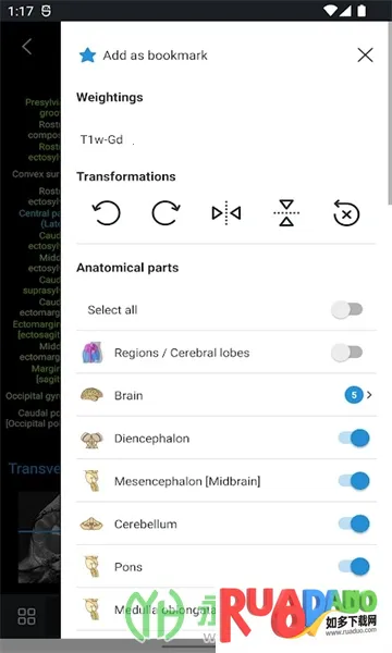 vet Anatomy2026最新版本 vet Anatomy2026最新版本