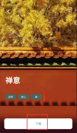 正念睡眠(助眠音乐播放) 正念睡眠(助眠音乐播放)