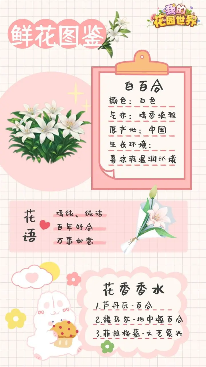 我的花园世界安卓版手机版