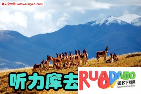 沪江听力酷 沪江听力酷