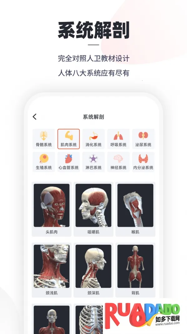 口袋人体解剖2026下载 口袋人体解剖2026下载