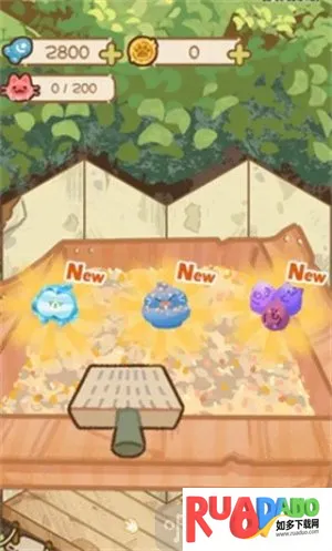 猫屋猫屎香2026官方正版