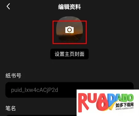 纸书2026最新版本