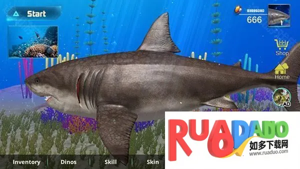 巨齿鲨模拟器