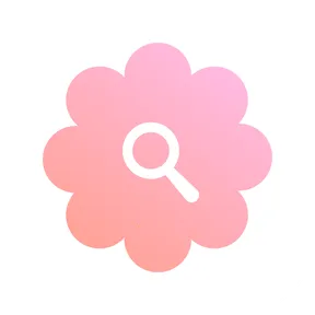 绚泽壁纸2026官方最新版本