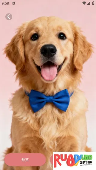 绚泽壁纸2026官方最新版本