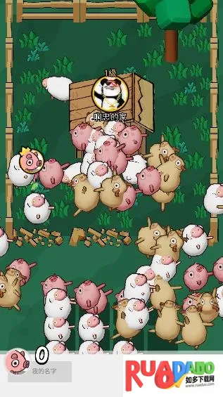 拱呀拱2026官方正版