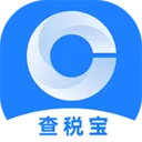 查税宝