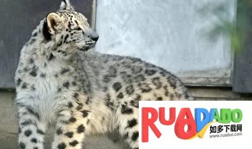 中国动物园协会2026官方正版