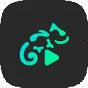 蜥蜴音乐播放器