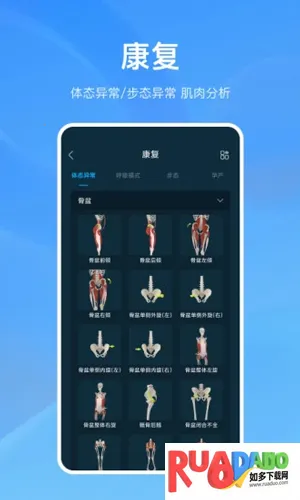 解剖大师2026最新版本