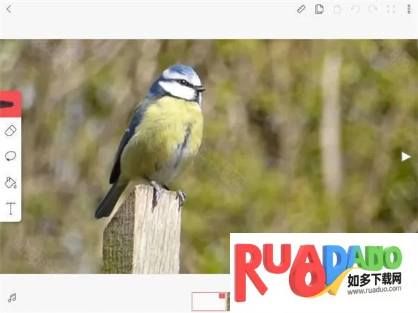 FlipaClip2026官方正版