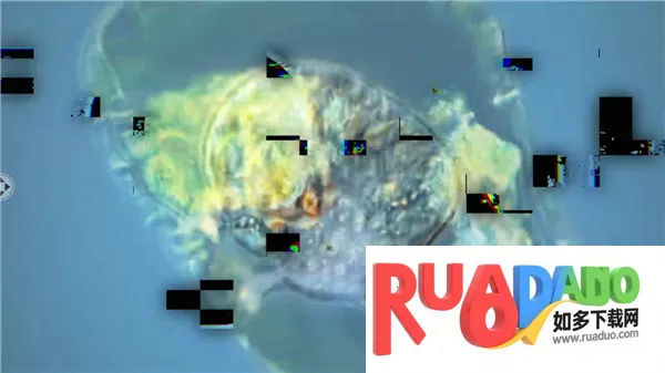 孢子模拟器安卓版手机版