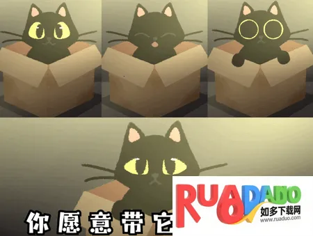 别带这只猫回家2026下载安装 别带这只猫回家2026下载安装