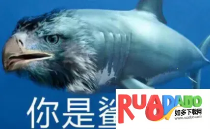 ϫ��gif����2026���ذ�װ