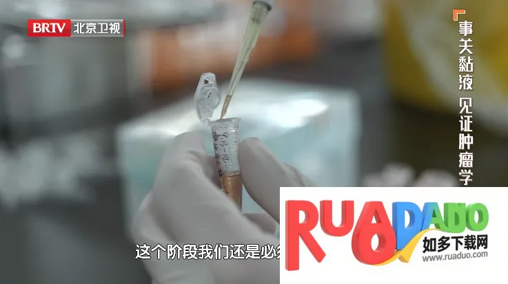 webview���Ӱ�