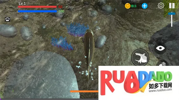 ���״���ɱ��������