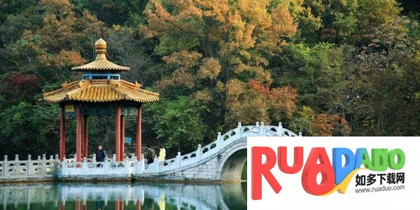 E����(�����������ƽ̨)