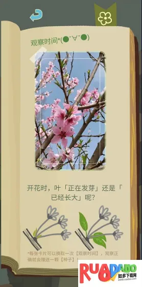 ��ũ������������