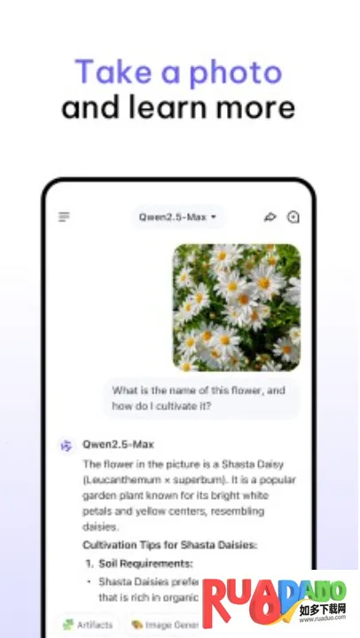Qwen Chat(����ѧϰ�ʴ�����)