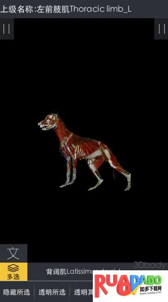 3dbody宠物版免费