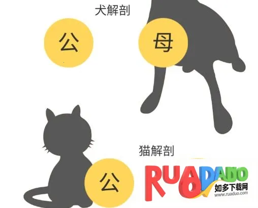 3dbody宠物版免费