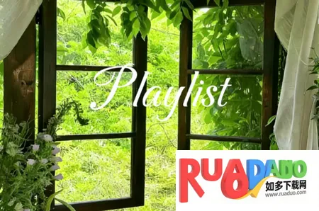 鲸落音乐盒2026最新版本