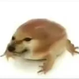 我的刀盾自制版2026下载安装