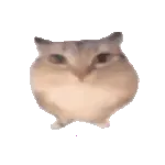 巴巴博一2026最新版本