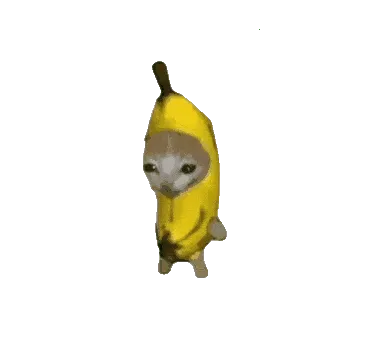 比比拉布2026官方正版