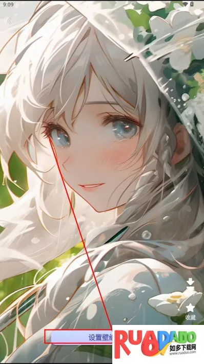 桌面猫(手机桌面美化)