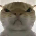 三角洲行动鼠鼠工具(三角洲行动辅助)