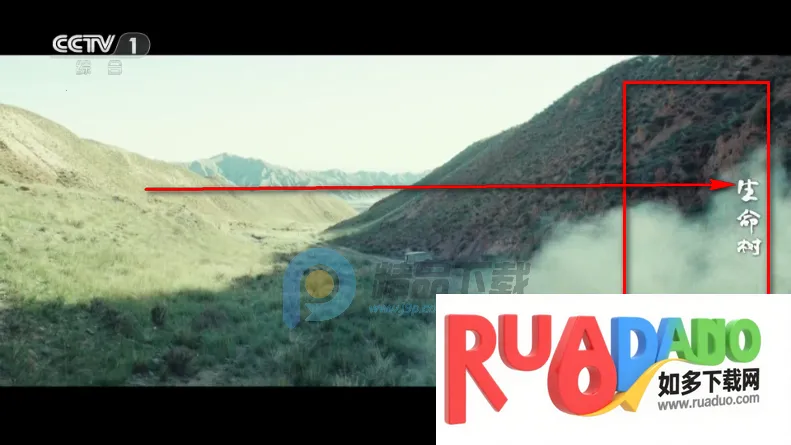 觅念电视TV2026官方正版