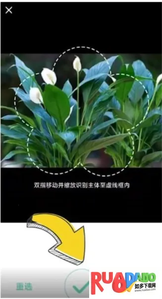 形色(植物识花软件)