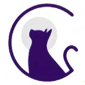 夜猫阅读小说(小说阅读软件)