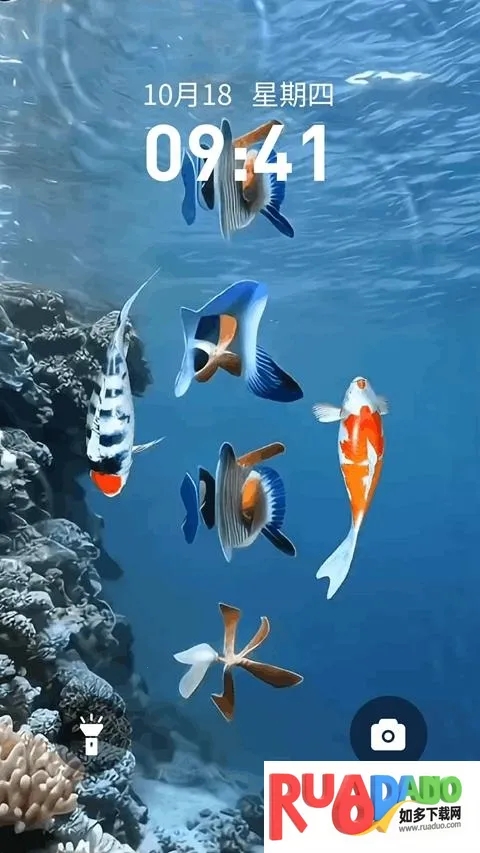 锦鲤金鱼壁纸(壁纸软件功能全)