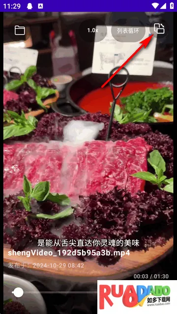 TikAlbum文件夹播放器