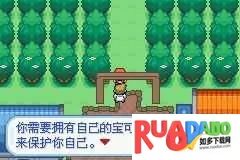 口袋妖怪梦的光点2026最新版本