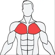 Muscle Wiki(健身辅助软件)