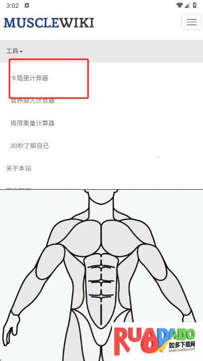 Muscle Wiki(健身辅助软件)