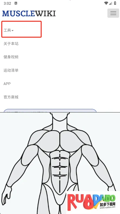 Muscle Wiki