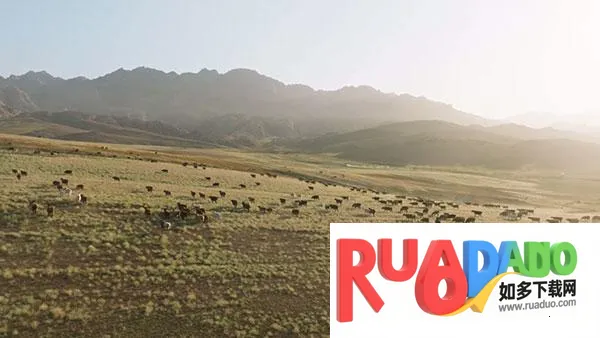 全聚合TV使用教程7