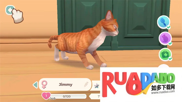 猫咪救援故事2026官方最新版本
