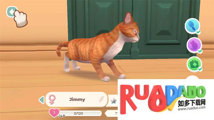 猫咪救援故事2026官方最新版本