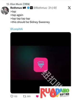 Loopit2026官方正版