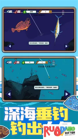 �Ϻ�С���2026���°汾