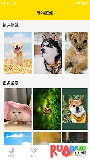 ���ӱ����2026�ٷ�����