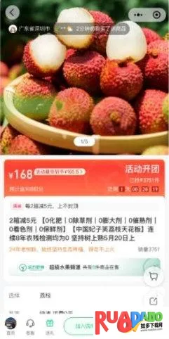 Զ��������2026����