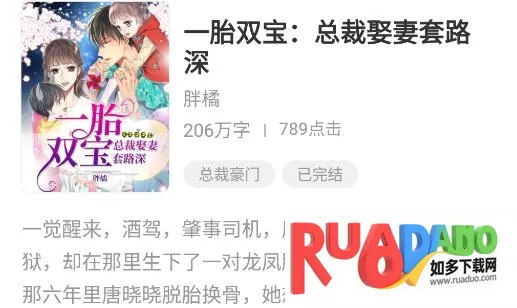 �������С˵(С˵�Ķ�����)