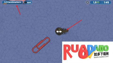 ��ζ�����ռ�һ�����İ�